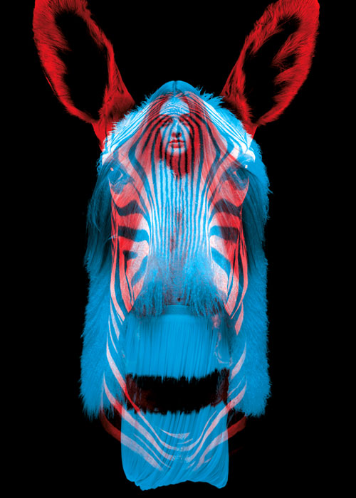 fubiz-helmo_zebre