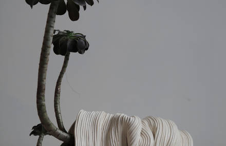 Beautifully Imperfect Ceramic Plant Vessels