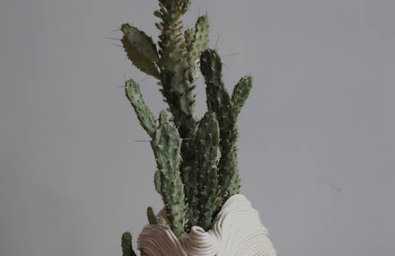 Beautifully Imperfect Ceramic Plant Vessels