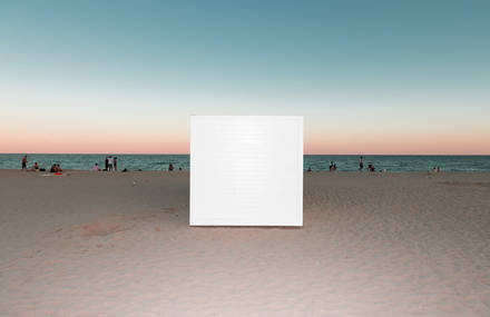 Poetic And Luminous Florida During Winter