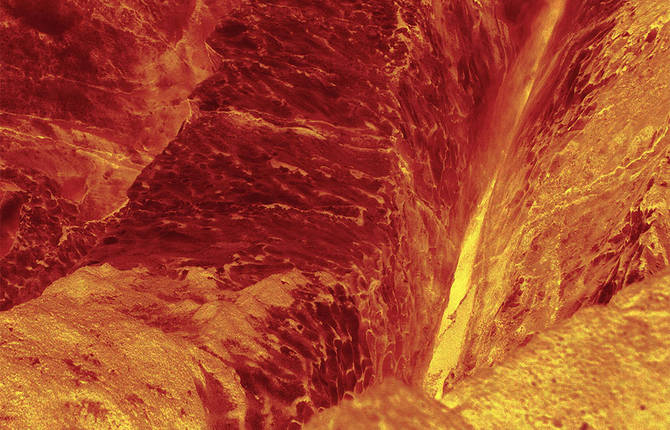Surreal Metaphors of Metaphysical Doubt
