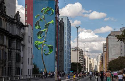 Blooming Plant Murals in the City