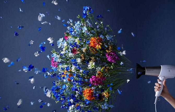 Spring-Inspired Campaign of Appliances and Flowers