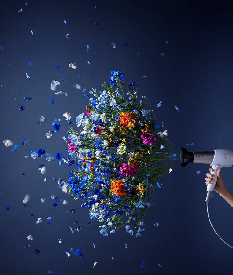 fubiz-takayuki-tanaka-flowers-02