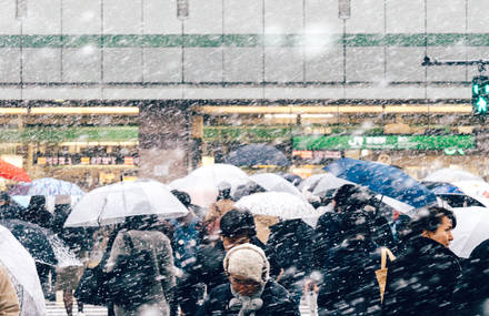 Magical Images of Tokyo Under the Snow