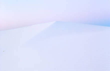 Amazing Photographic Trip in the Desert