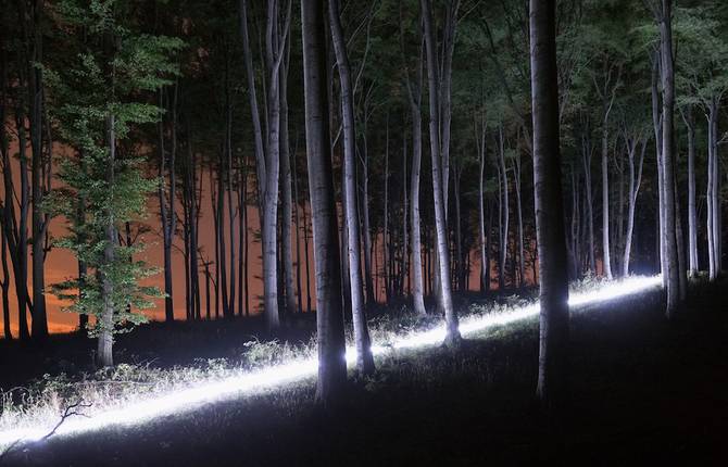 When Light Illuminate the Forest by David Lados