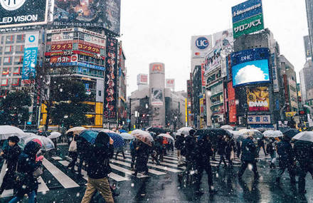 Stunning Pictures Of Tokyo Under The Snow