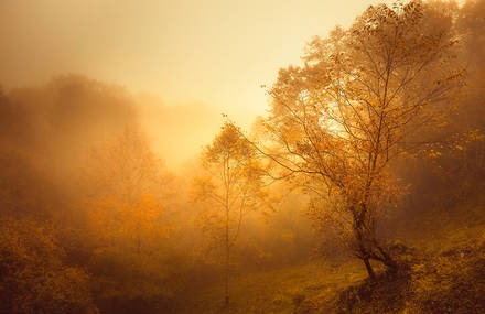 Captivating Images of Different Seasons Worldwide