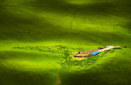 Captivating Images of Different Seasons Worldwide