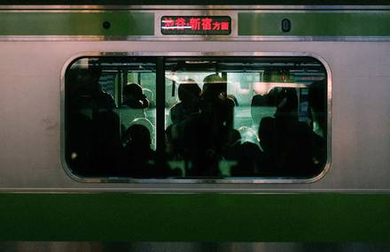 Serene Portraits Amidst Bustling Tokyo