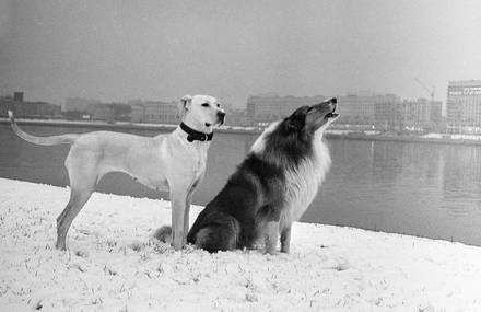 Fantastic, Recently Discovered Photographs of Masha Ivashintsova