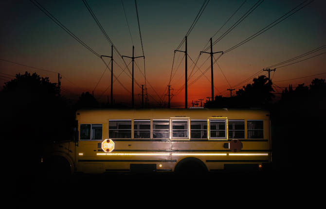 Strikingly Vibrant Images Under the Cover of Night