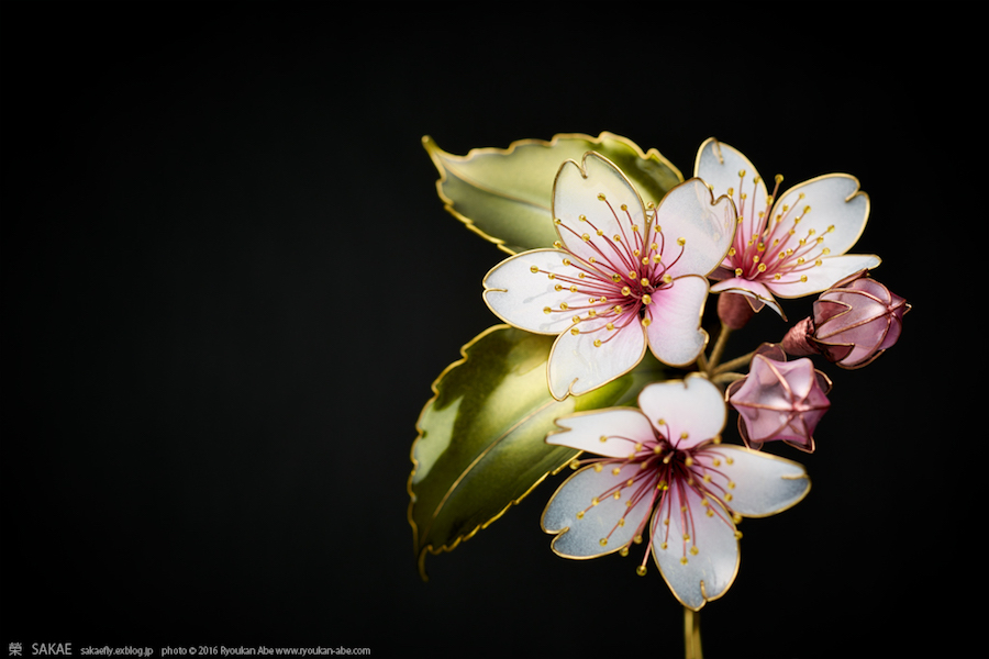 White flower