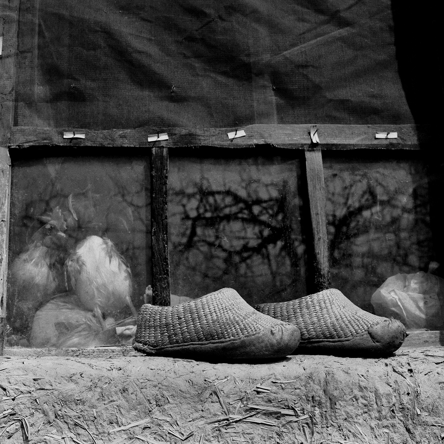 fubiz-Jo-Farrell,-Su-Xi-Rong's-straw-shoes-75-(China,-2008)