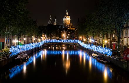 Ephemeral Light Calligraphies in the Netherlands
