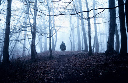 Lovely Stroll Though a Mist-Filled Forest