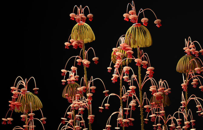 Unique Digital Flowers
