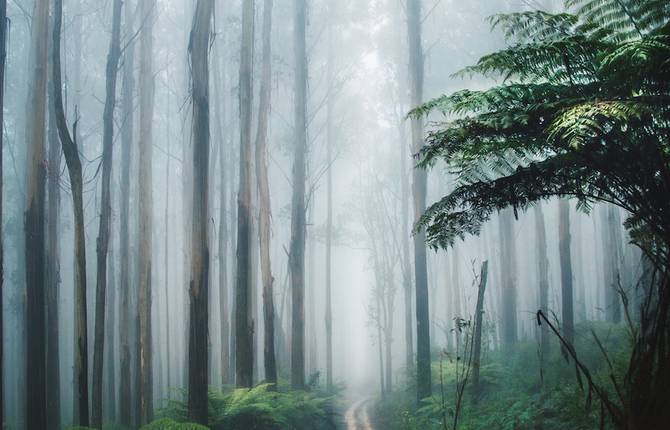 Sublime Pictures Of Nature By Karl Shakur