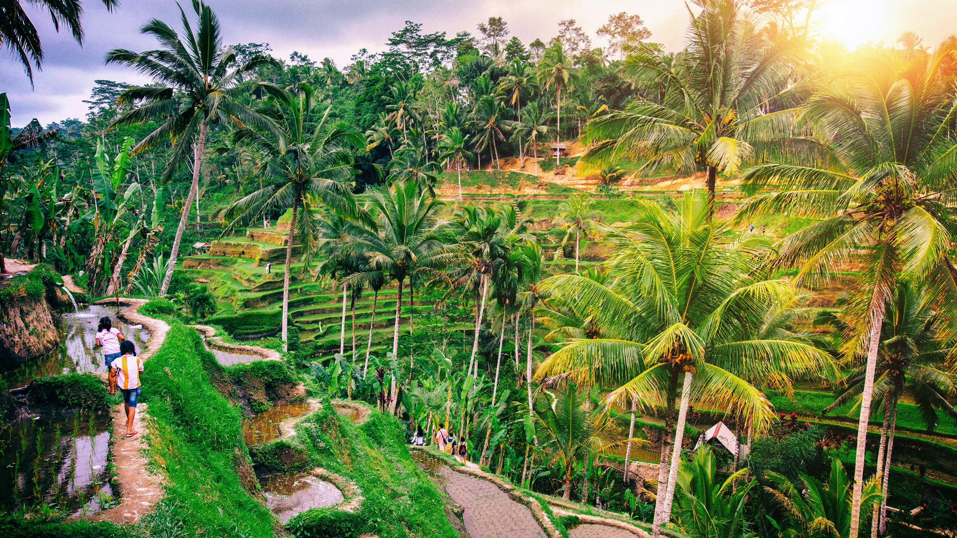 Jonne-Seijdel-Indonesia-Photography-01