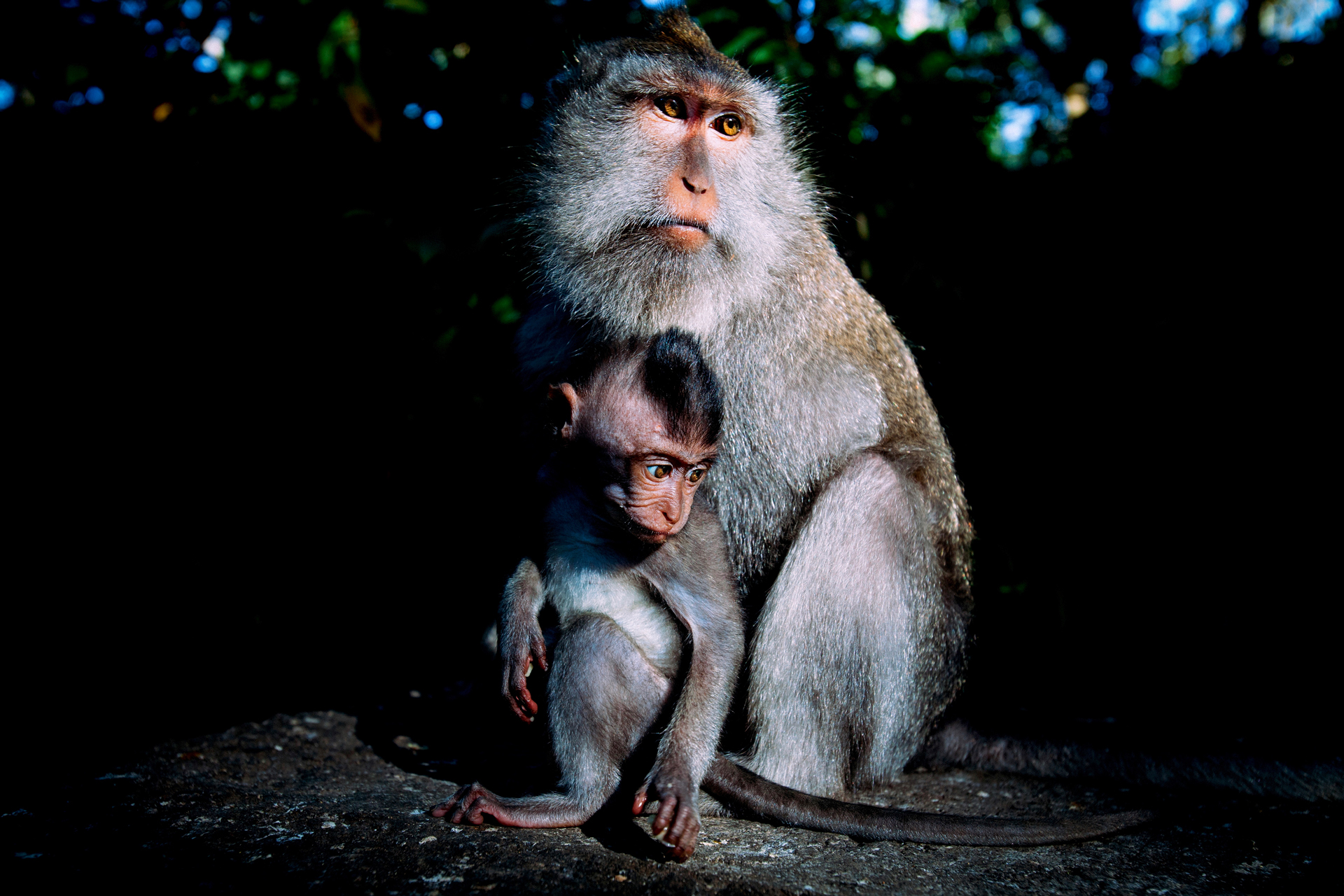 Jonne-Seijdel-Indonesia-Photography-05
