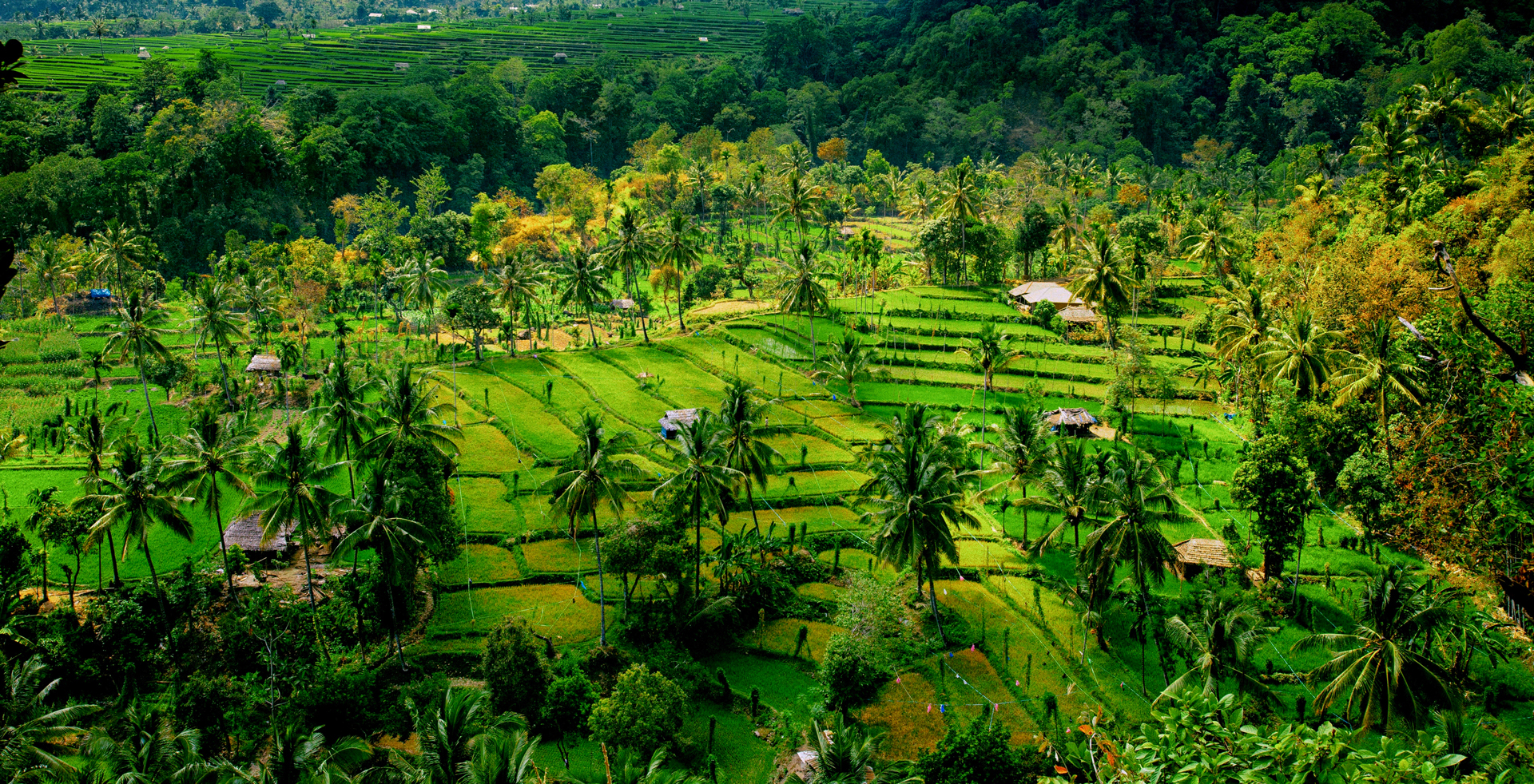 Jonne-Seijdel-Indonesia-Photography-07