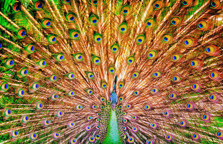 Spectacular Images of Indonesia’s Lesser Sunda Islands