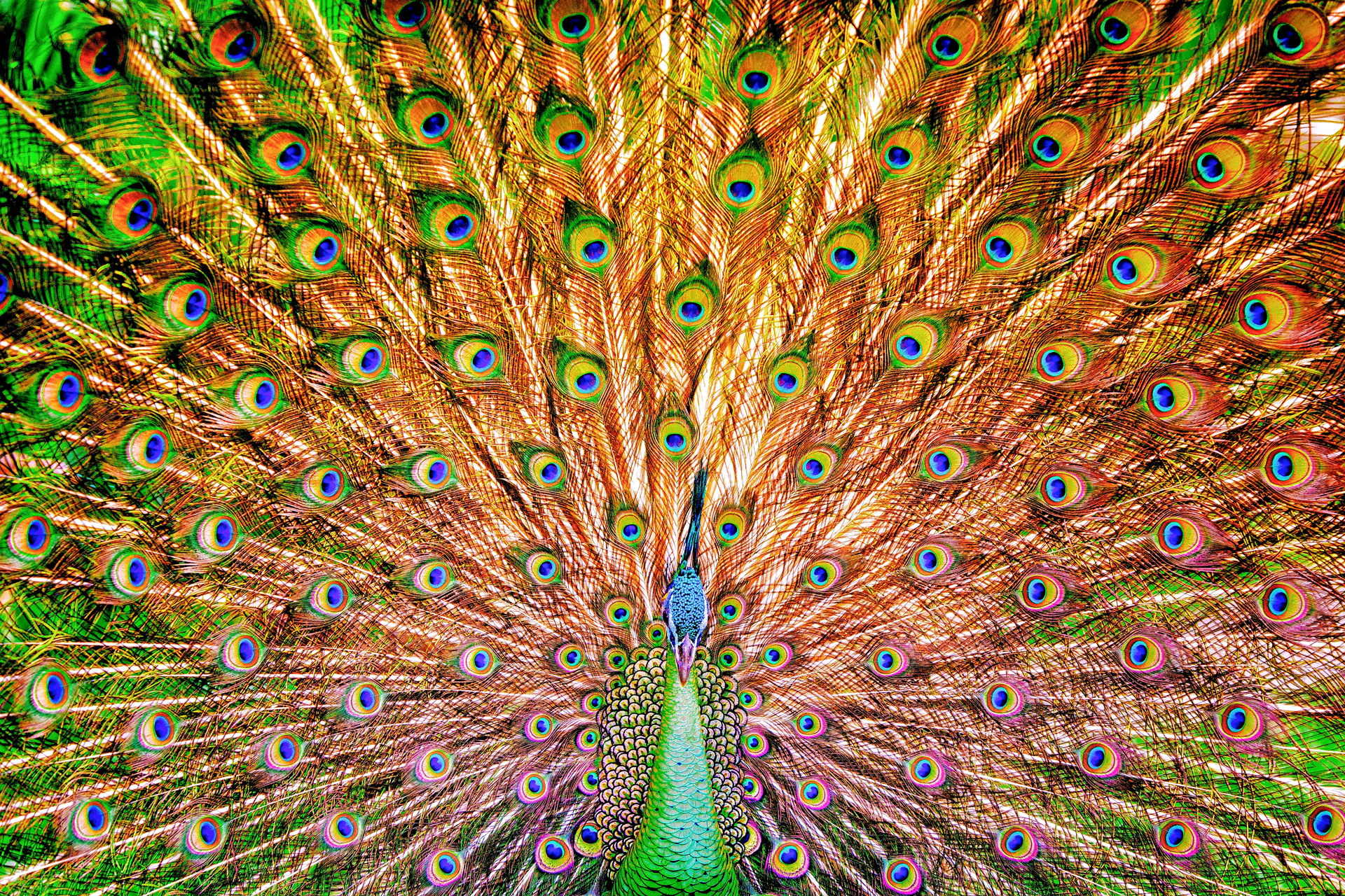 Jonne-Seijdel-Indonesia-Photography-12
