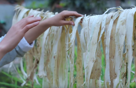 Incredible Process of Making Paper