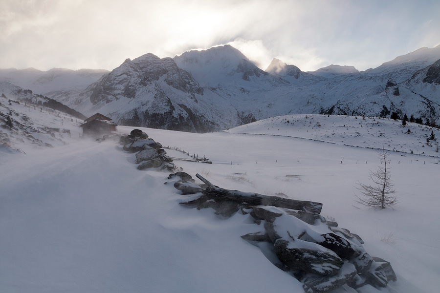 Under the snow