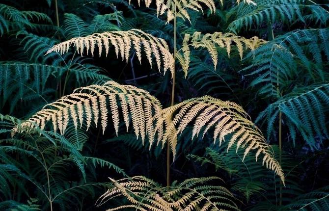 Contemplative and Powerful Images of Simple Elements