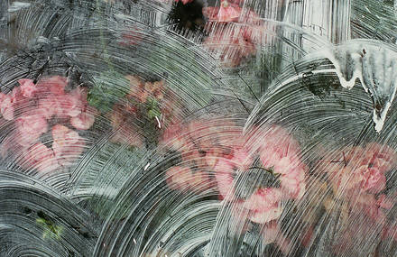 Imagery that Captures Both Beauty and Purpose