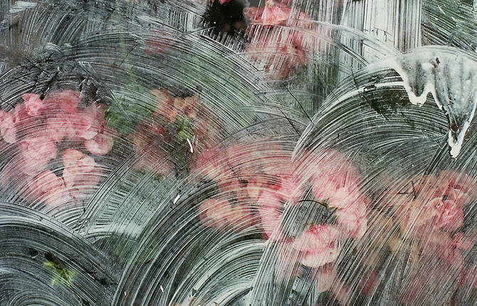 Imagery that Captures Both Beauty and Purpose