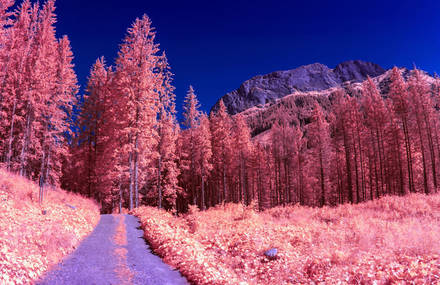 Surprising Infrared Photographs of Poland