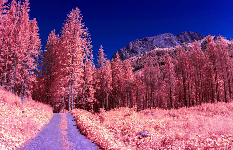 Surprising Infrared Photographs of Poland