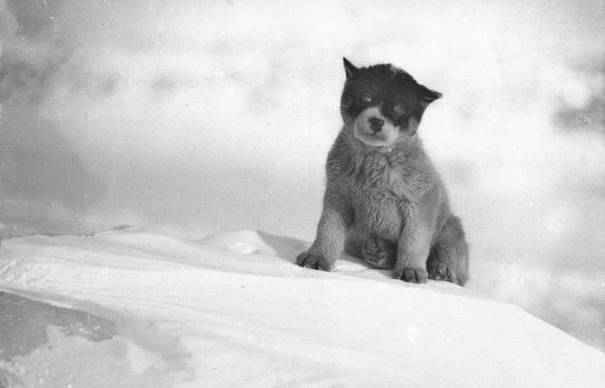 Rare Photography of the First Expedition to Antarctic