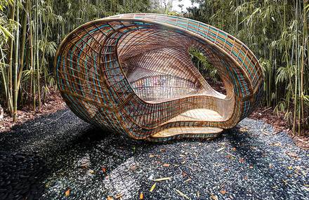 A Cocoon Designed for Contemplation and Communication