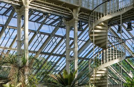 The Hugest Victorian Glasshouse in the World Finally Restored