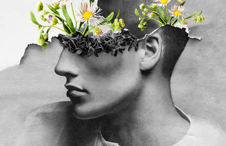Graceful Flowery Collages