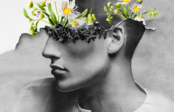 Graceful Flowery Collages