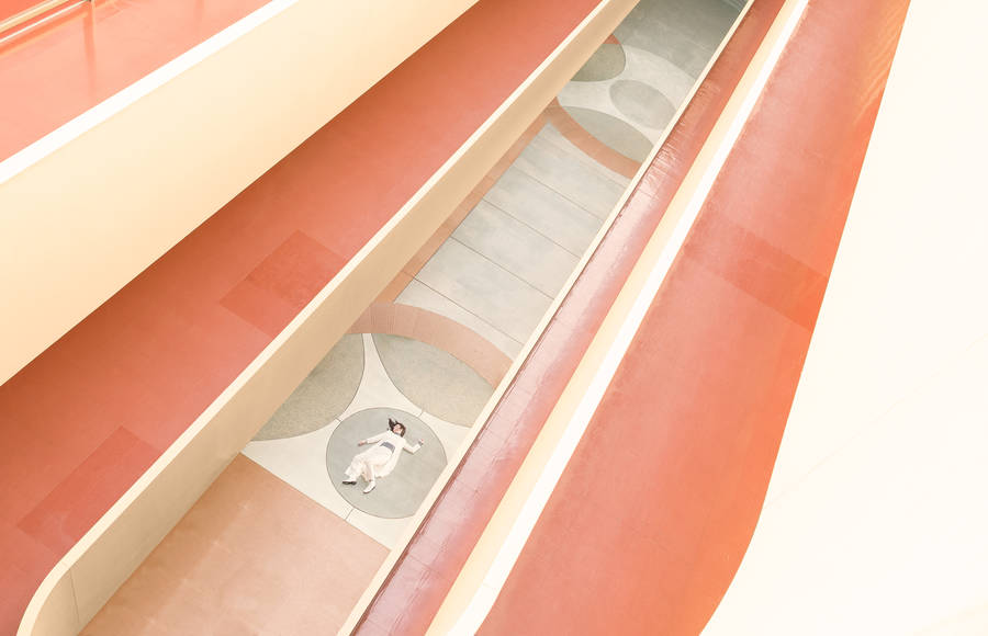 Immersive Shots By Mireya Gartland