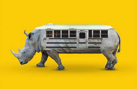 Crazy Mashups of Objects and Animals