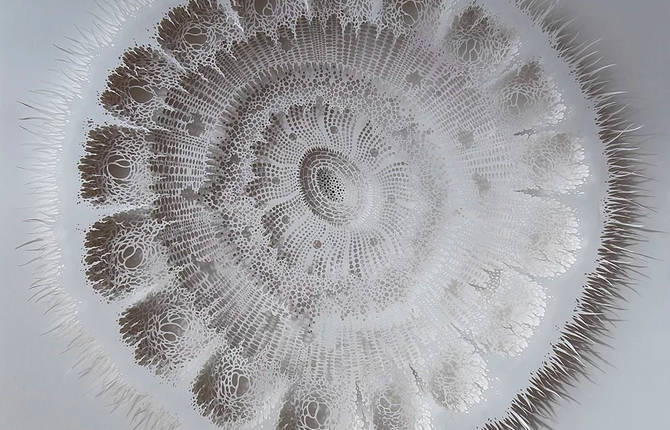 Paper Sculptures in the Forms of Coral and Bacteria