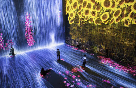 Immersive and Interactive Installation in Paris