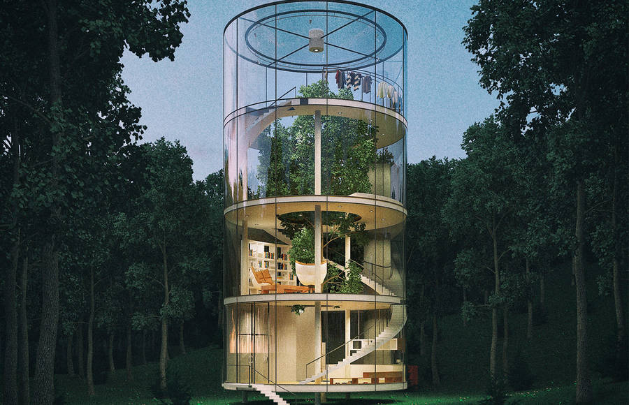 A House Built Around a Tree