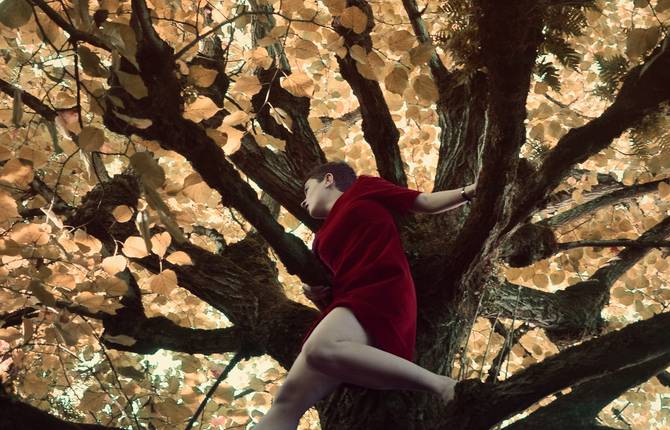 The Wonderful World of Alis Bouyer