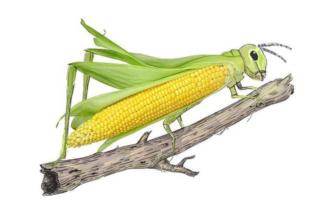 Fun Art by Diego Cusano