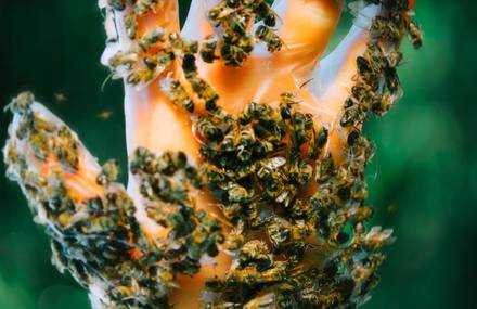 Alex Currie’s Raw and Astounding Universe
