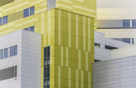 Graphic and Coloured Structures in Montreal