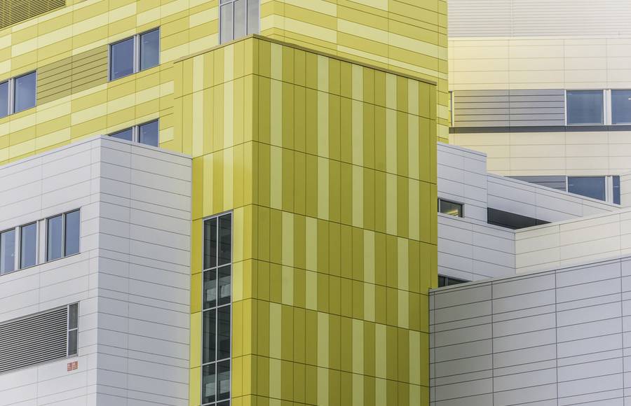 Graphic and Coloured Structures in Montreal